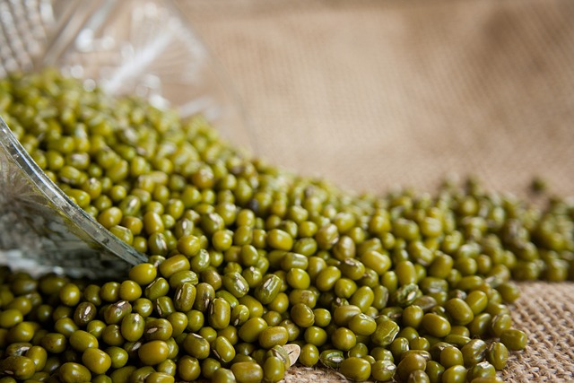 mung-beans-g80a5b40e3_640.jpg