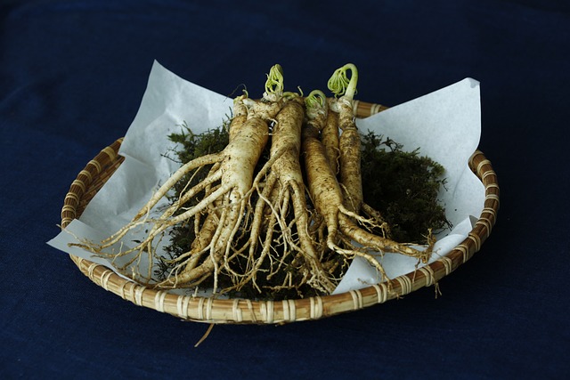 ginseng-gdc9d33033_640.jpg